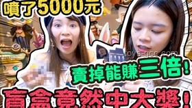 初代Labubu高价拍卖成交问题解决方案